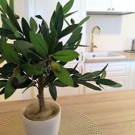 Julia Next To Aqua Park Апартаменты