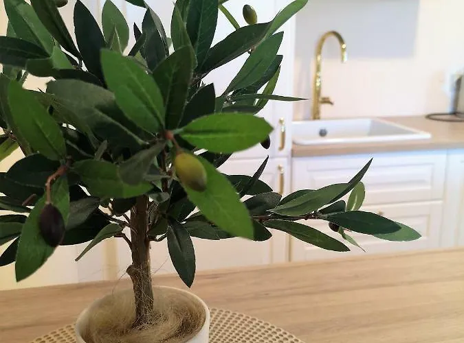 Julia Next To Aqua Park Apartment